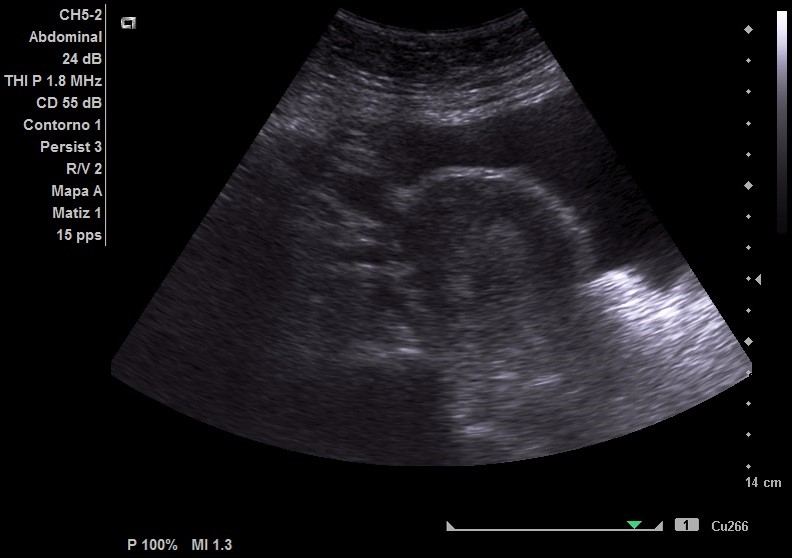 EcoC2-2-4