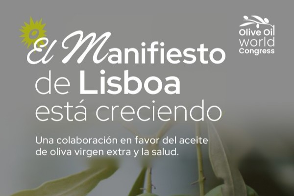Foto Manifiesto Lisboa78