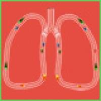 Medio centenar de médicos aprenden con la SEMG el abordaje integral de los pacientes con patología respiratoria