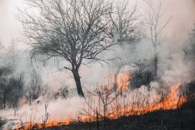 RECOMENDACIONES DE SALUD ANTE INCENDIOS CERCANOS