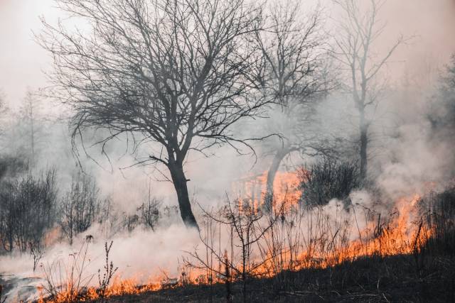 RECOMENDACIONES DE SALUD ANTE INCENDIOS CERCANOS